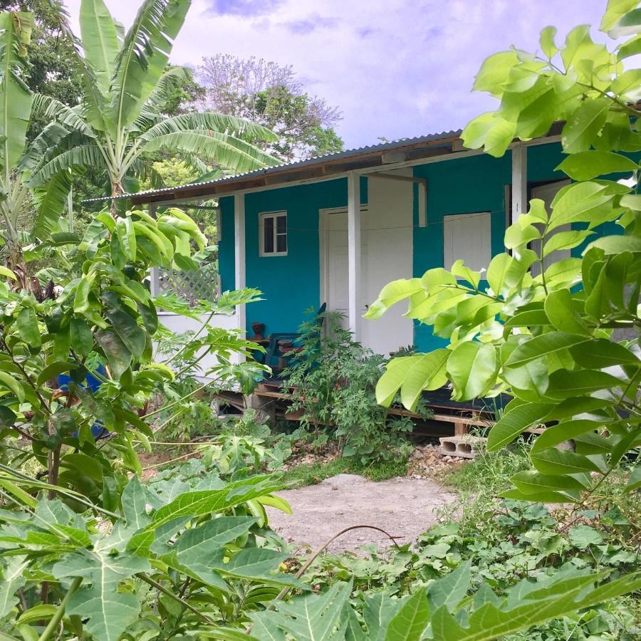 Easymans' Winifred Beach Chalets Port Antonio Kültér fotó